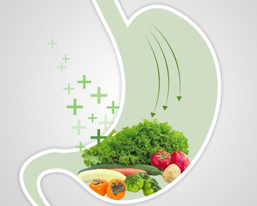 12 thói quen hại dạ dày khủng khiếp - Hình 2 12 thoi quen hai da day khung khiep-Hinh-2