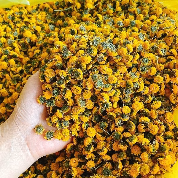 Loai hoa tien vua co gia nua trieu dong/kg, dan thi nhau ra dong hai-Hinh-7