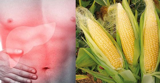 7 loại thực phẩm lọc sạch độc tố trong gan, mát gan tiêu độc 7 loai thuc pham loc sach doc to trong gan, mat gan tieu doc