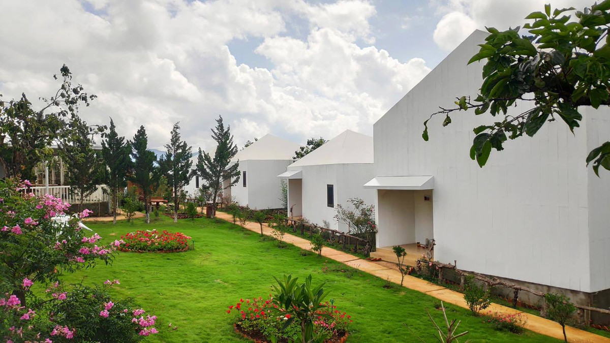 Co ngoi moi dang nguong mo cua Ly Nha Ky-Hinh-11