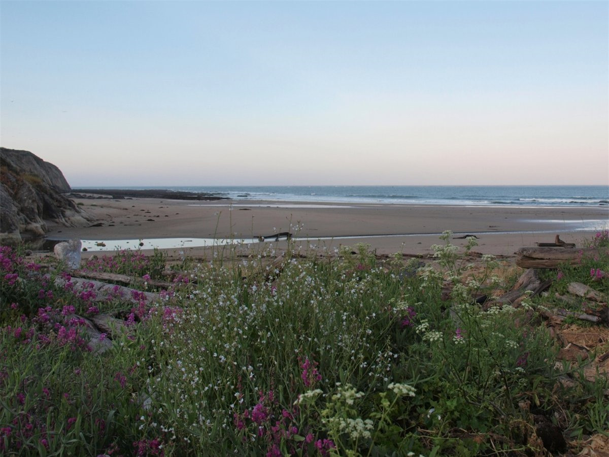  SchoonerGulch, California, Mĩ. Được biết tới là bãi biển BowlingBall, SchoonerGulch có hàng ngàn tảng đá với hình dạng, kích thước như nhau dàn hàng như đội quân. Hiện tượng hiếm có này hoàn toàn là do thiên nhiên không có bàn tay con người xen vào. Thậm chí, những khoáng chất tạo nên những tảng đá này còn có thể chịu được sự phá hủy từ biển Thái Bình Dương.