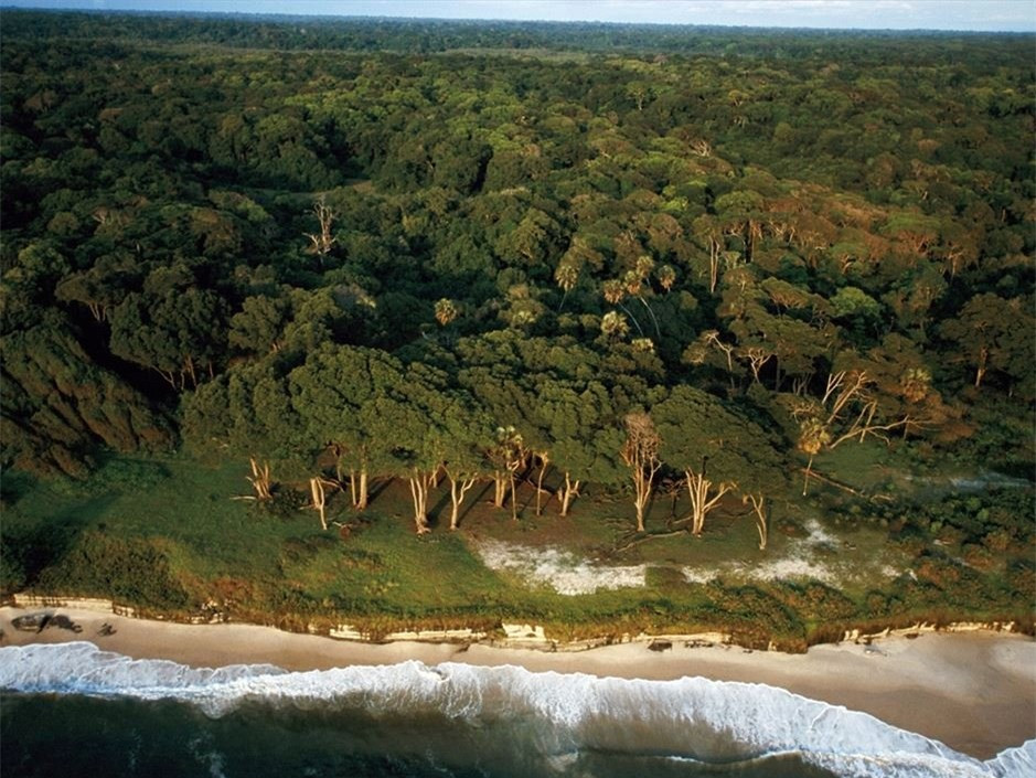  Công viên quốc gia Loango, Gabon, Châu Phi.Với những người thích một bãi biển vừa nguyên sơ vừa hoang dã thì công viên quốc gia Loango chính là địa điểm lí tưởng. Công viên trải rộng với những bãi biển cát trắng, những chú hà mã, những chú gorilla, trâu, báo, voi và những chú lợn rừng ngụp lặn trong nước.