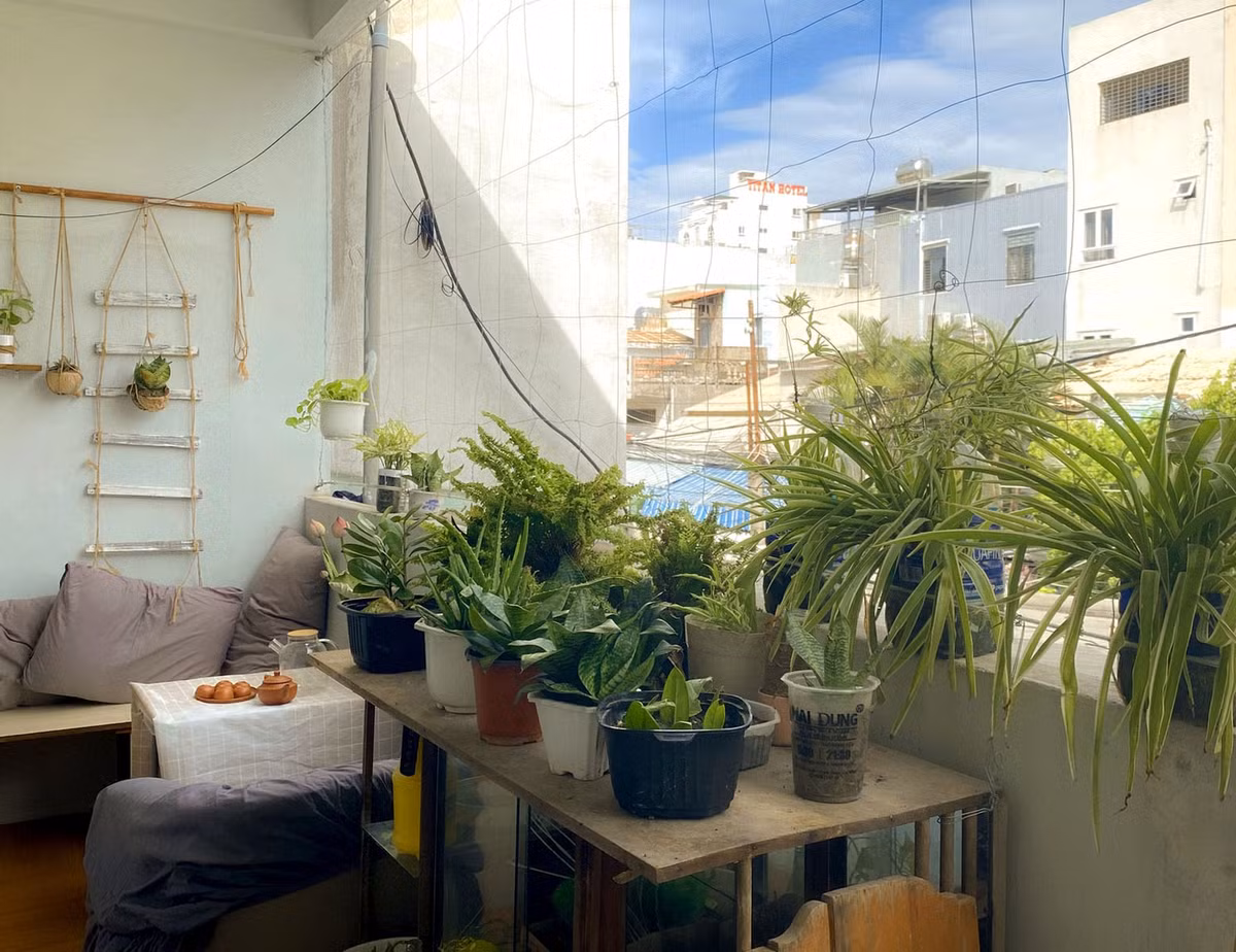 Co gai xay dung khu vuon o ban cong tu do dac tu lam-Hinh-8