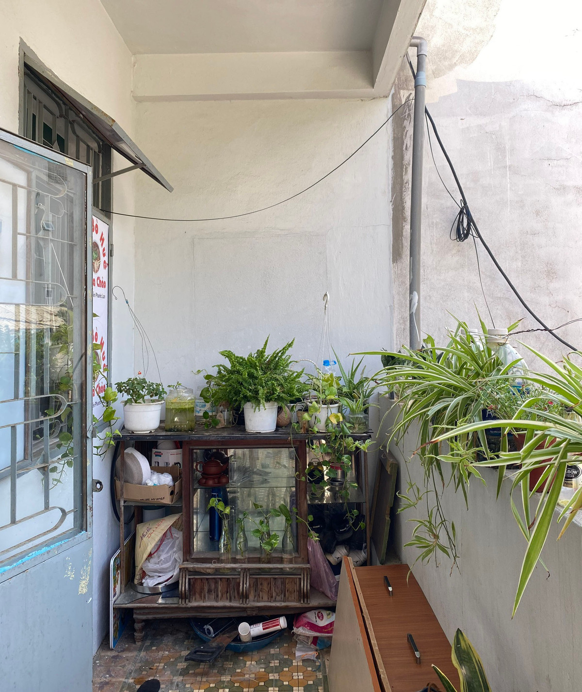 Co gai xay dung khu vuon o ban cong tu do dac tu lam-Hinh-7