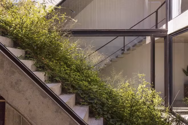 Nha pho xanh muot voi san vuon lien hoan noi 3 tang-Hinh-5