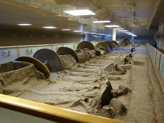 Xe ui vo tinh lat tung mo co, canh tuong hai hung lo ra-Hinh-2