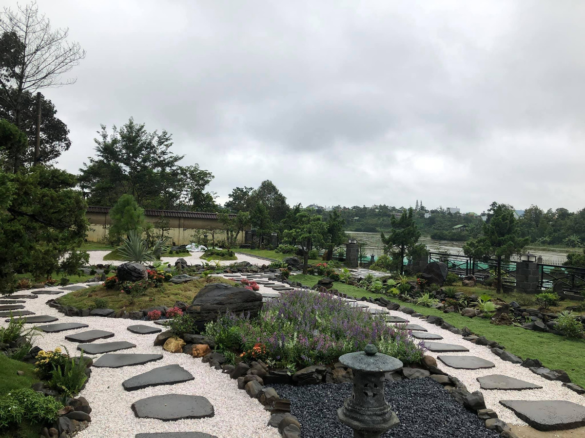 Gia chủ đặc biệt chú ý đến cảnh quan xung quanh với tùng bonsai, thảm cỏ, hồ nước, cây ăn quả và hoa…