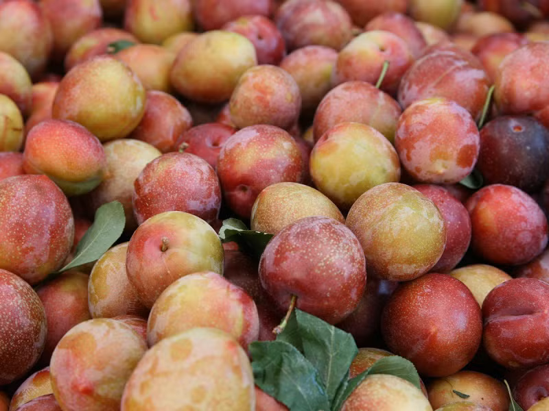 Bi kip chon man ngon do chu sap hoa qua chia se-Hinh-3