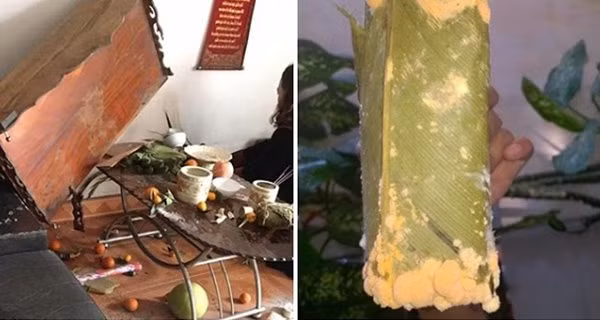 Ban tho bong dung xuat hien dau hieu nay, gia chu can than xui tan mang