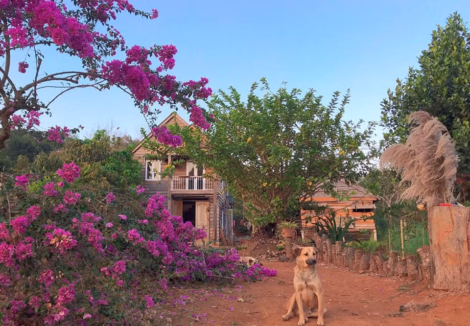 Vo chong 9X roi Sai Gon ve rung lap nghiep-Hinh-2