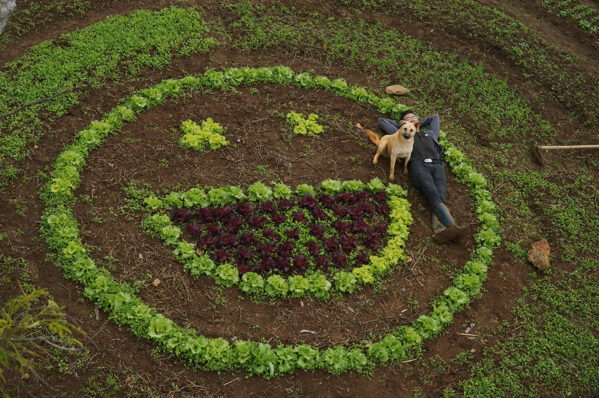 Vo chong 9X roi Sai Gon ve rung lap nghiep-Hinh-3