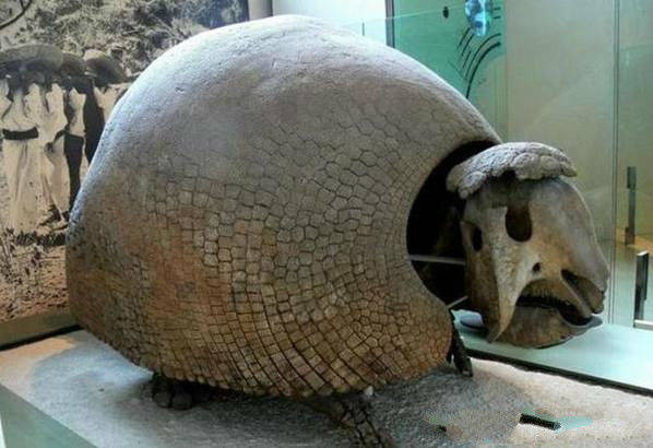 Buoc vao cai hang bi an, nguoi dan ong voi vang goi cho canh sat-Hinh-2