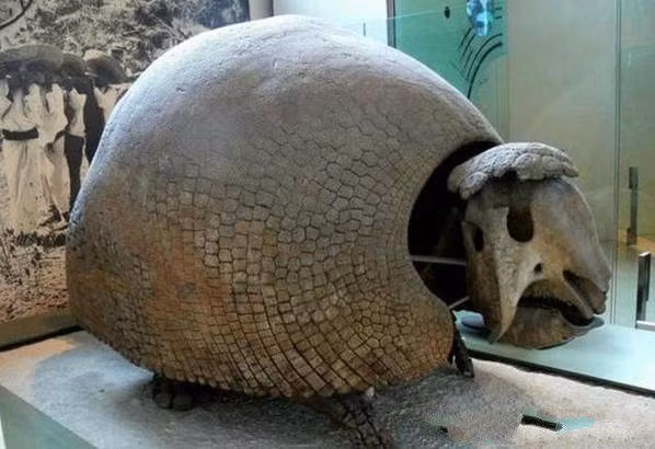 Buoc vao cai hang bi an, nguoi dan ong voi vang goi cho canh sat-Hinh-2