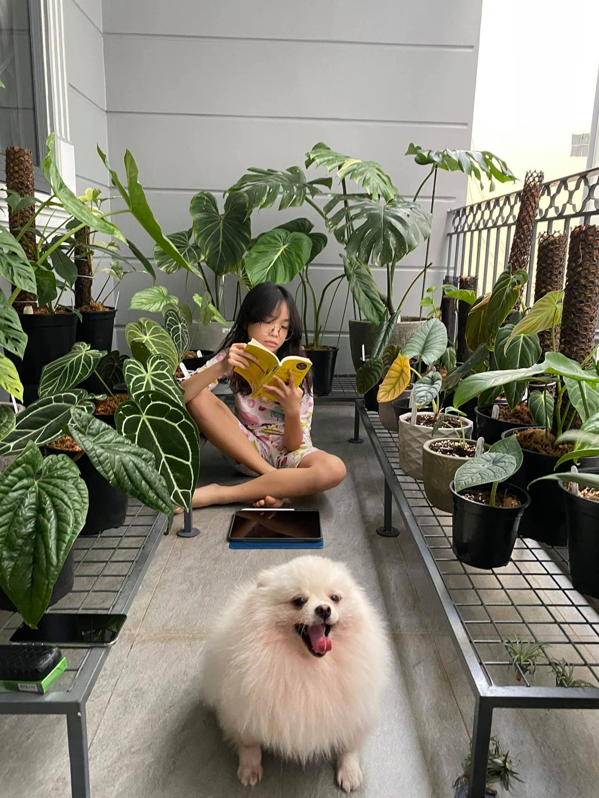 Nha pho voi gian cay thang dung, hoa trai quanh nam ruc ro-Hinh-10