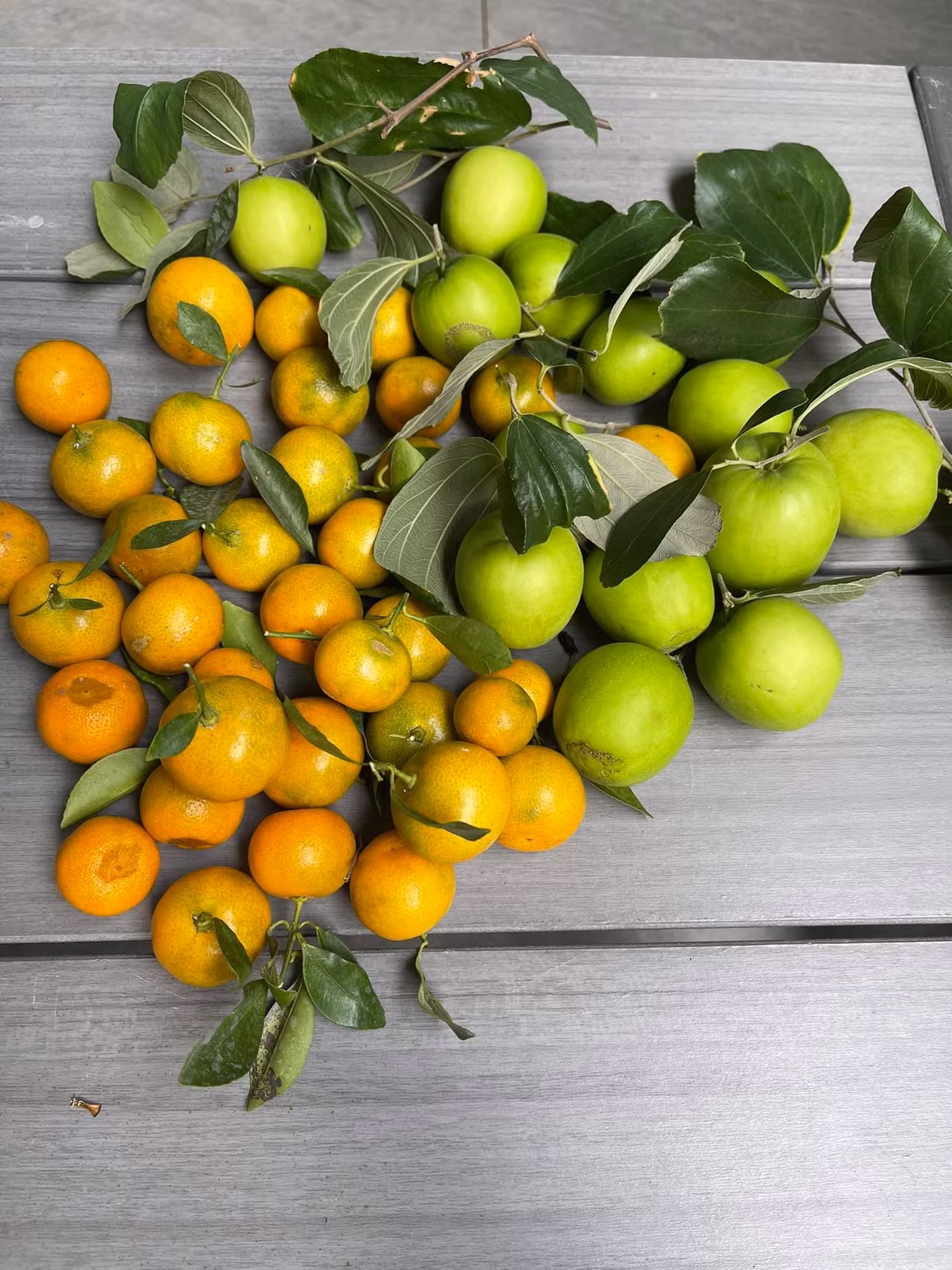 Nha pho voi gian cay thang dung, hoa trai quanh nam ruc ro-Hinh-11