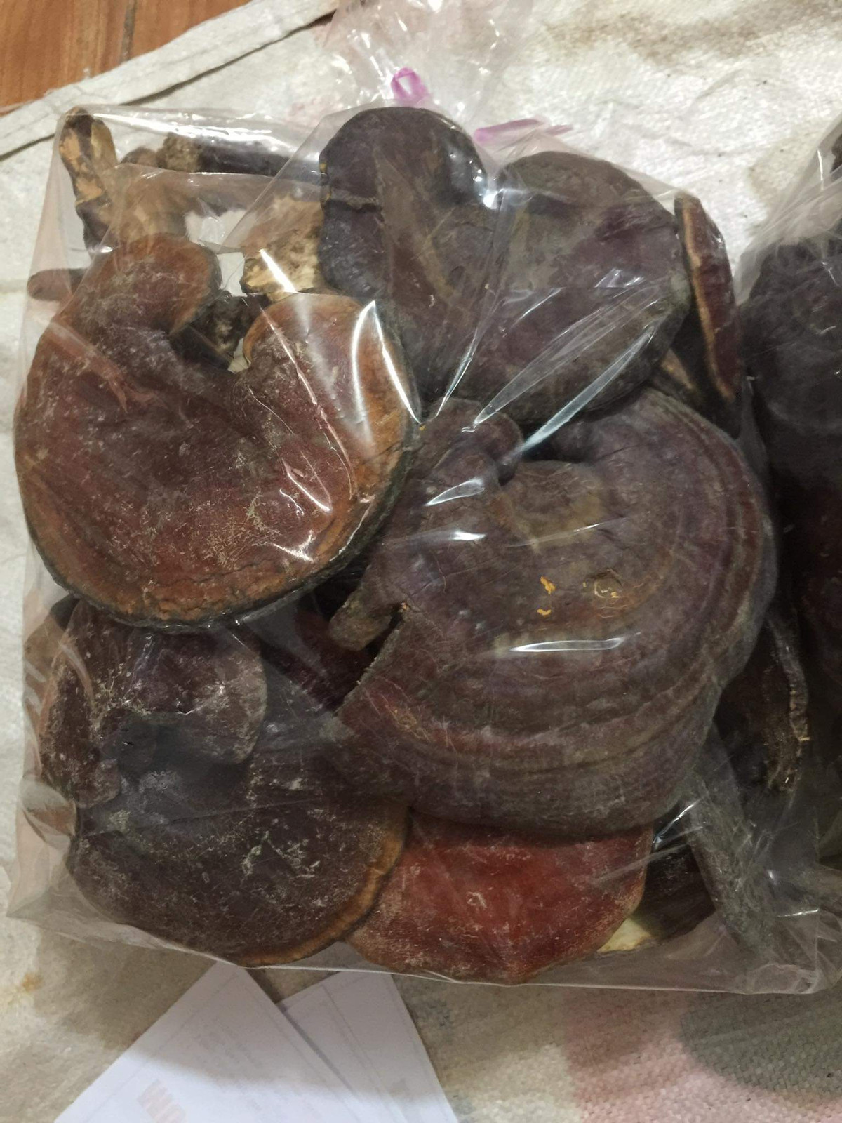 Thi truong nam Linh Chi: Loan gia, chat luong san bang?