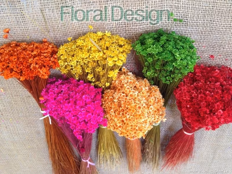 Cuc Glixia dep tinh khoi, chi em thi nhau lung mua lam 