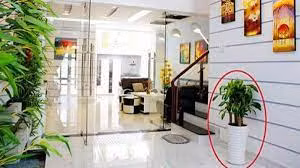 Tu gio den cuoi nam, nho lam theo 6 meo phong thuy nay de cai van