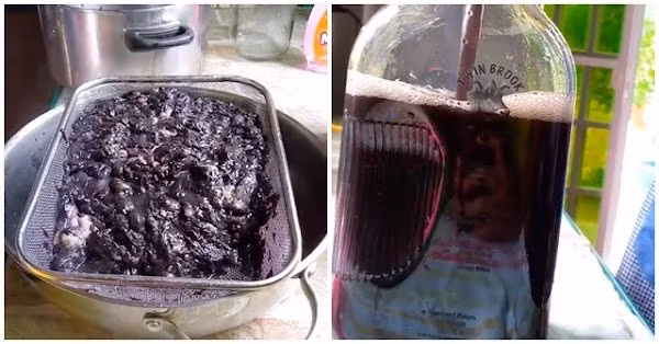 Loai qua la to nhu buoi nhung vo cung giong dua: Dung tri nhieu benh-Hinh-3