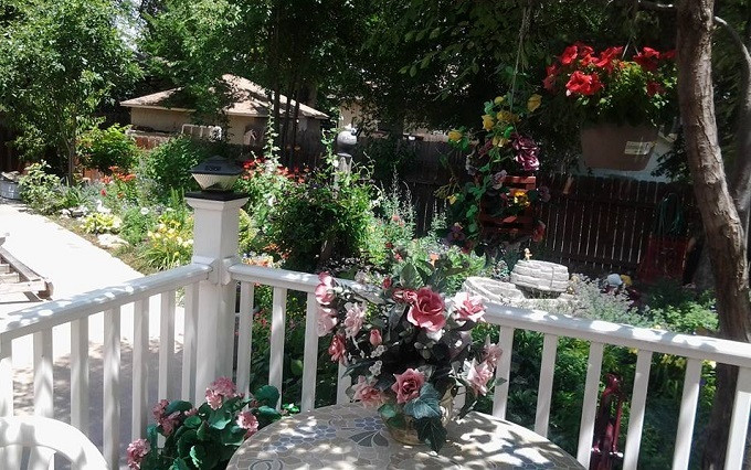 Vo toi vung trom voi anh tho sua ong nuoc