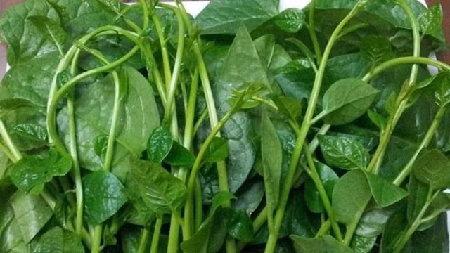 6 loi ich khong ngo khi ban thuong xuyen an rau mong toi