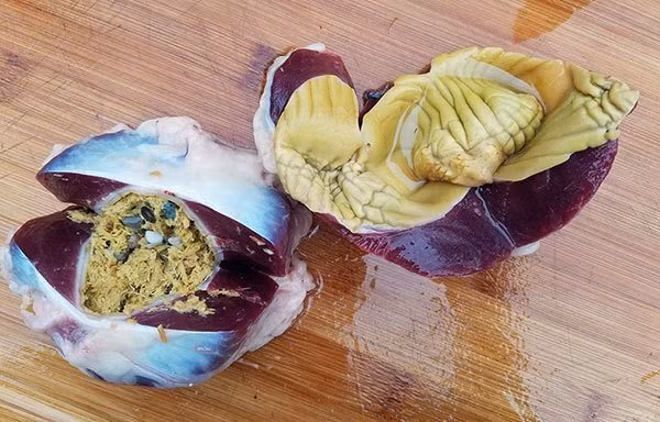 Bo phan o con ga quy hon ca dong trung ha thao