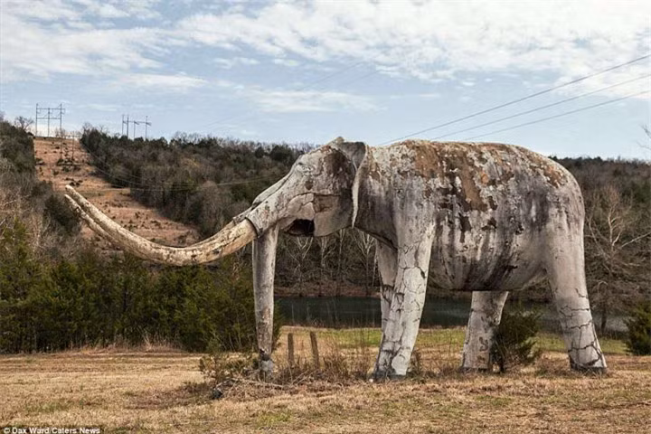 Một bức tượng voi ma mút bỏ hoang, theo thời gian đã gần như bị phá hủy. Ông Ward kể lại: "Mô hình được phát hiện nằm sâu trong dãy núi Ozark, miền Tây Bắc Arkansas, gần một con sông xinh đẹp chảy qua".