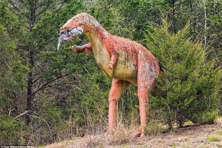 Là một nhà thám hiểm, ông Dax Ward đã lẻn vào khu đất hoang để chụp những bức ảnh này.