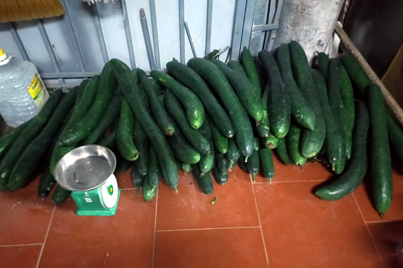 Bi xanh rot gia ky luc, 1kg khong mua noi o banh my kep-Hinh-3