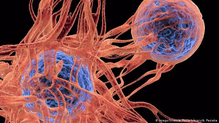 Tế bào ung thư "sợ nhất" loại quả này Te bao ung thu