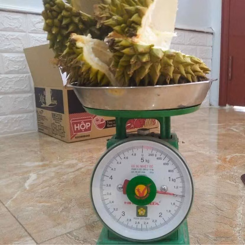 Chi can nhin dac diem nay, ban se chon duoc qua sau rieng ngon-Hinh-3