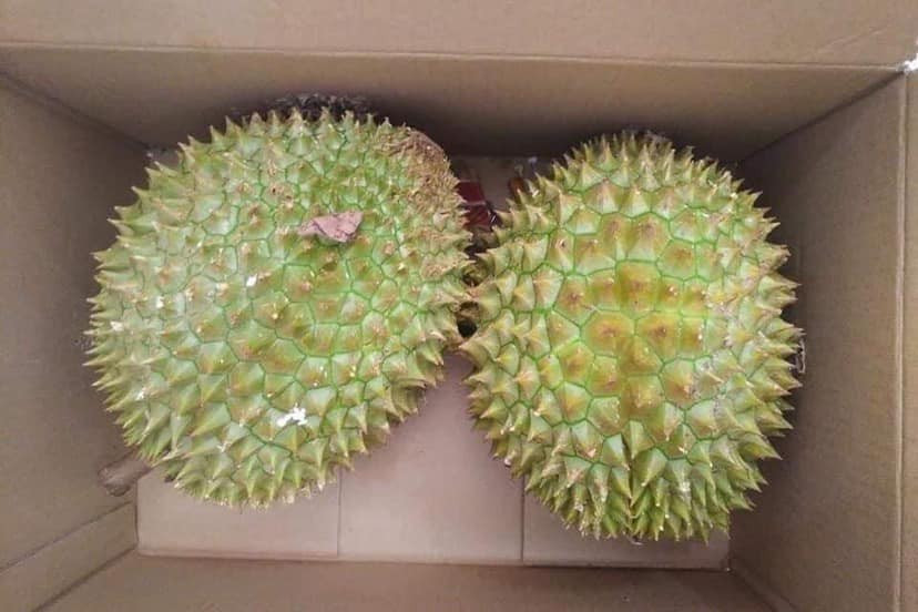 Chỉ cần nhìn đặc điểm này, bạn sẽ chọn được quả sầu riêng ngon Chi can nhin dac diem nay, ban se chon duoc qua sau rieng ngon