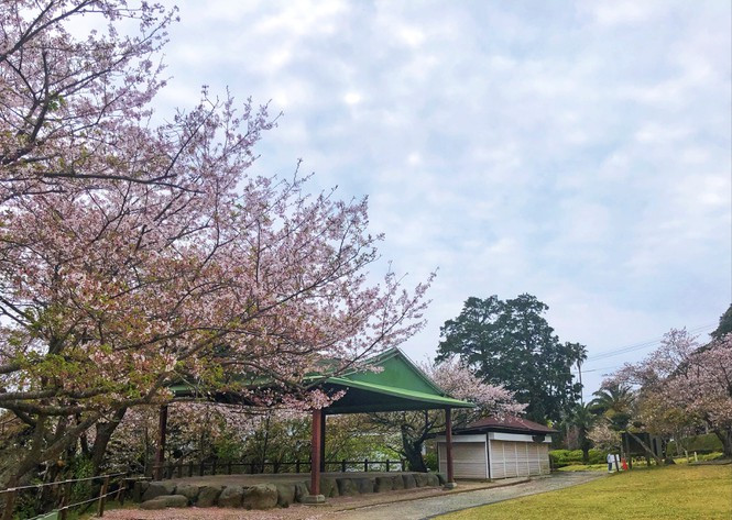 Chống dịch theo cách của du học sinh Việt Chong dich theo cach cua du hoc sinh Viet