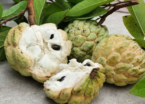 Những loại quả mùa hè rất ngon miệng nhưng càng ăn càng béo - Hình 2 Nhung loai qua mua he rat ngon mieng nhung cang an cang beo-Hinh-2