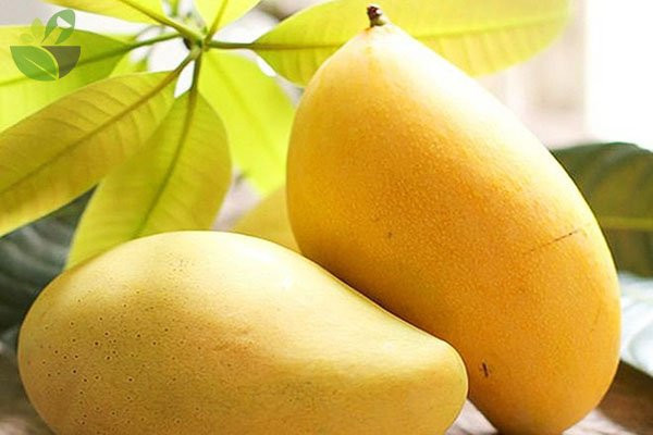 Những loại quả mùa hè rất ngon miệng nhưng càng ăn càng béo - Hình 4 Nhung loai qua mua he rat ngon mieng nhung cang an cang beo-Hinh-4