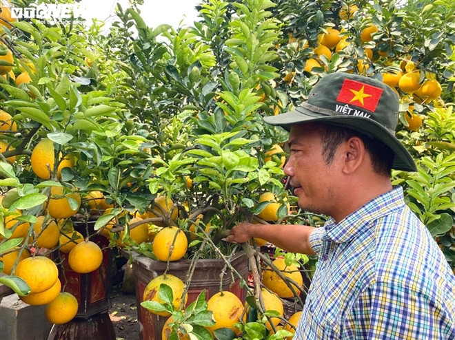 Nguoi Sai Gon ru nhau di tau buoi Dien trung Tet-Hinh-7