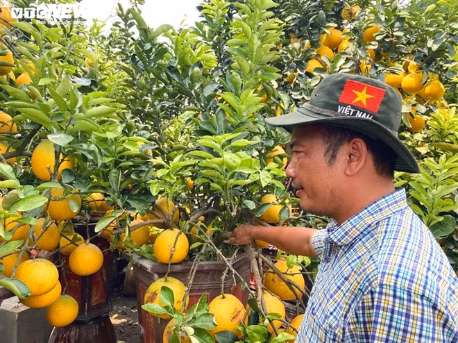 Nguoi Sai Gon ru nhau di tau buoi Dien trung Tet-Hinh-7