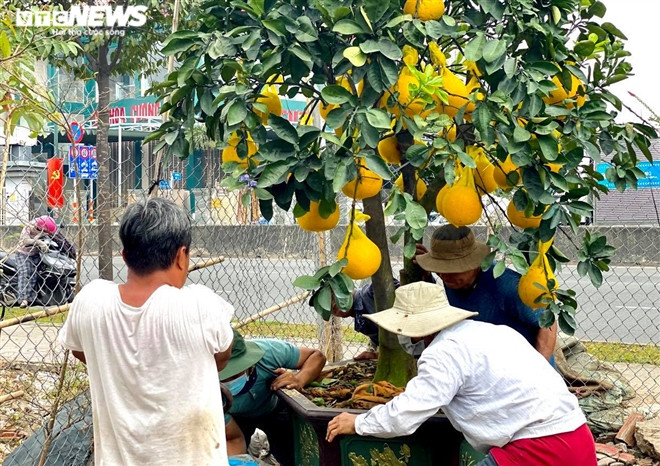 Nguoi Sai Gon ru nhau di tau buoi Dien trung Tet-Hinh-8