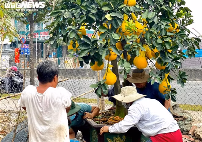 Nguoi Sai Gon ru nhau di tau buoi Dien trung Tet-Hinh-8