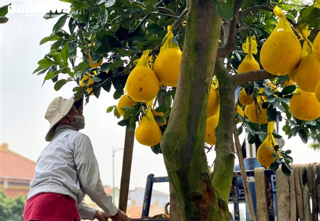 Nguoi Sai Gon ru nhau di tau buoi Dien trung Tet-Hinh-3