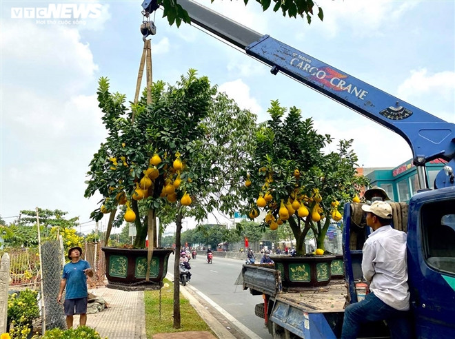 Nguoi Sai Gon ru nhau di tau buoi Dien trung Tet-Hinh-2