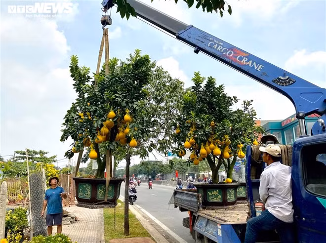 Nguoi Sai Gon ru nhau di tau buoi Dien trung Tet-Hinh-2