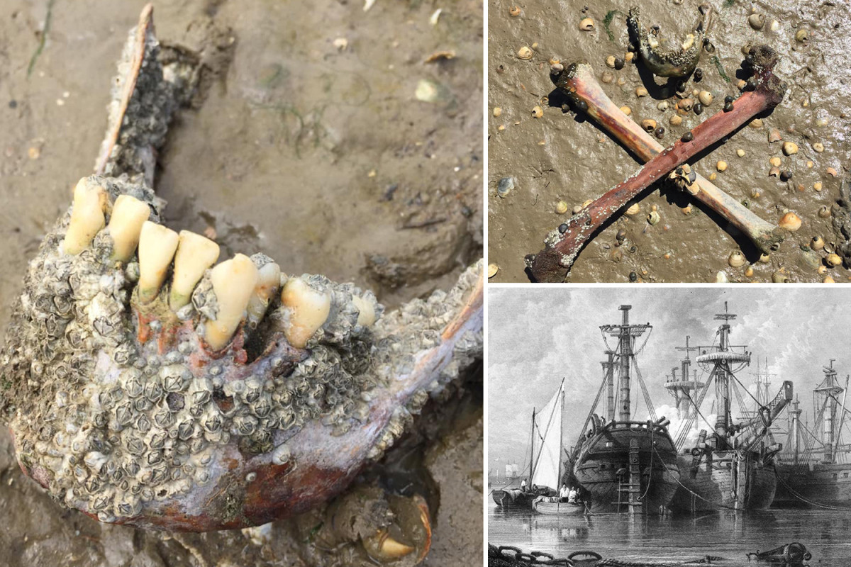 'Hòn đảo chết chóc' kinh dị cấm khách du lịch ở Anh