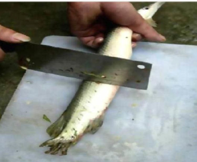 Cau duoc con ca ky la, nguoi dan ong gap phai su co khi che bien-Hinh-3