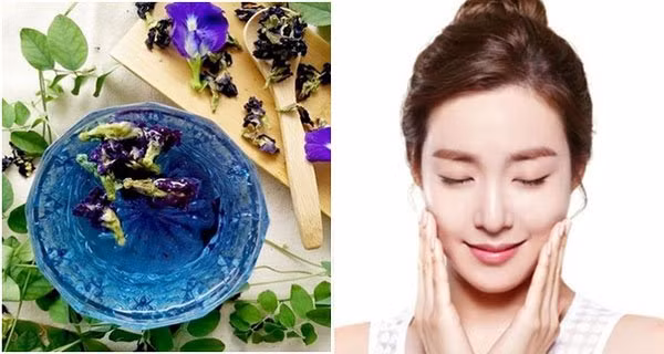 Dua nhau uong tra hoa dau biec de chong lao hoa