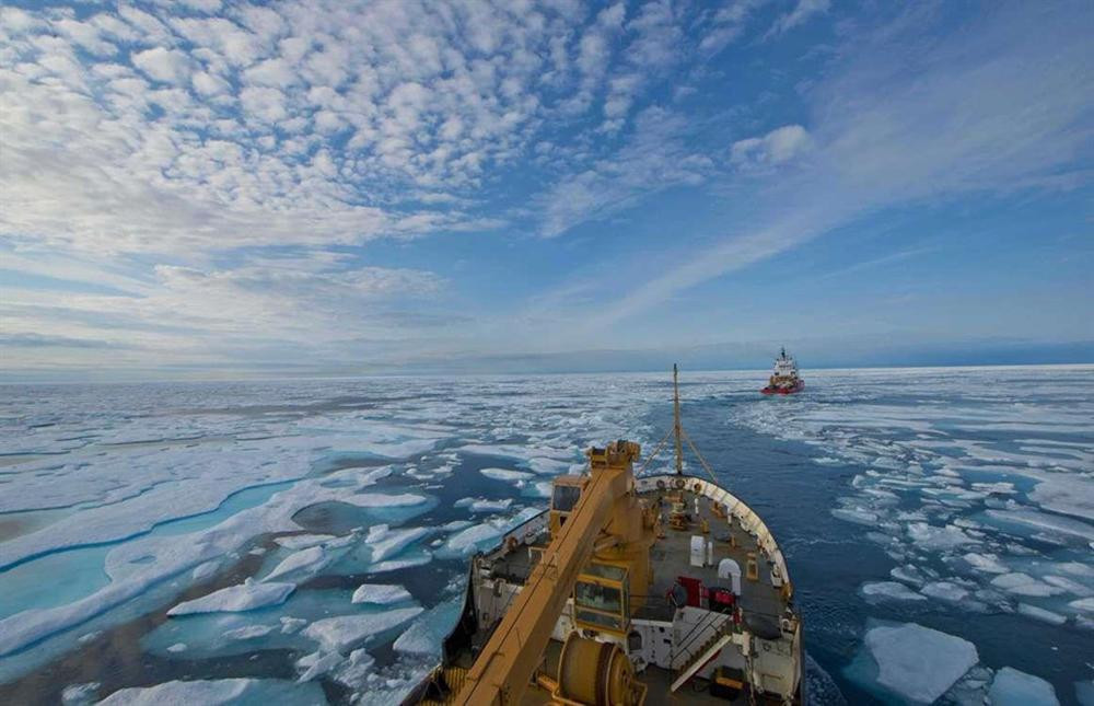 Đây cũng là nơi sinh sống của nhiều loài động vật hoang dã như cá voi, gấu trắng, hải cẩu... Năm 2007, sau một mùa hè ấm áp đến khó tin, cả khu vực gần như không còn băng, đe dọa nghiêm trọng đến sự tồn tại của loài gấu trắng.