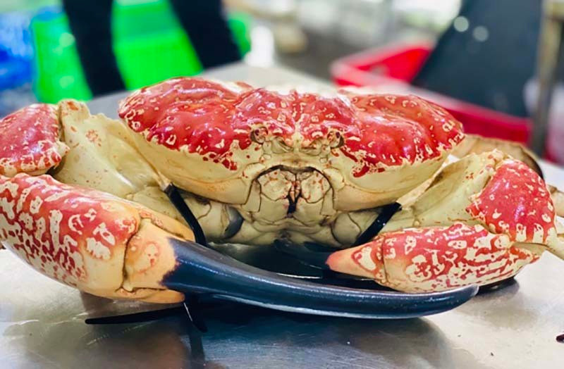 Cua Uc khong lo, di may bay ve cho Tet-Hinh-2