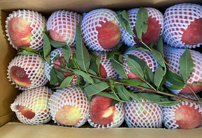 Loai qua 100% hang Trung Quoc gay sot, gia cao chot vot van dat hang-Hinh-4