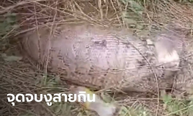 Tran khong lo vo bung chet tham sau khi nuot chung con be-Hinh-2