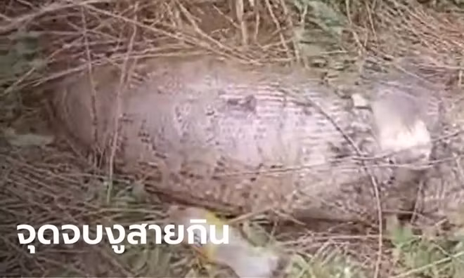 Tran khong lo vo bung chet tham sau khi nuot chung con be-Hinh-2
